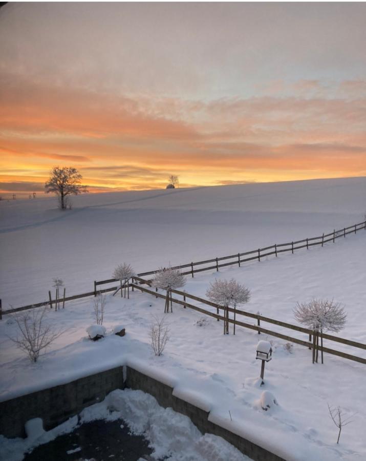 Landhotel Flora & Fauna (Adults Only) Винтерберг Экстерьер фото